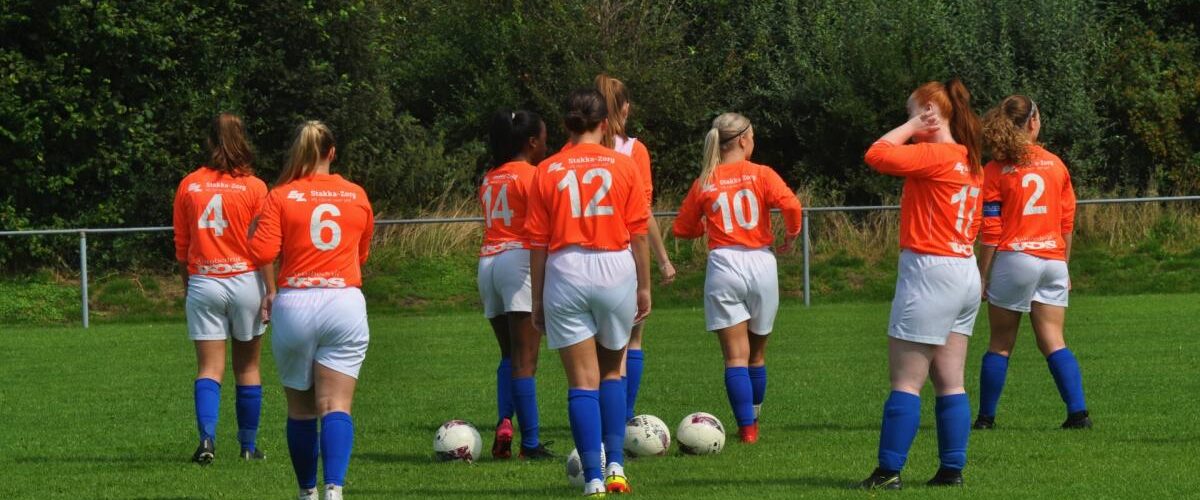 Banner - vv Nieuw Buinen - Nieuw-Buinen