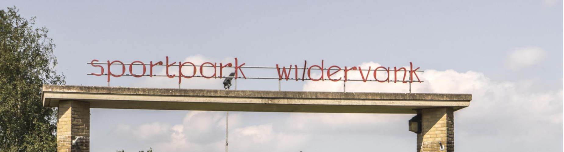 Banner - v.v. Wildervank - Wildervank