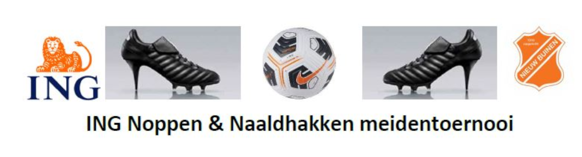 Banner - Noppen en Naaldhakken Toernooi 2024 - vv Nieuw Buinen - Nieuw-Buinen