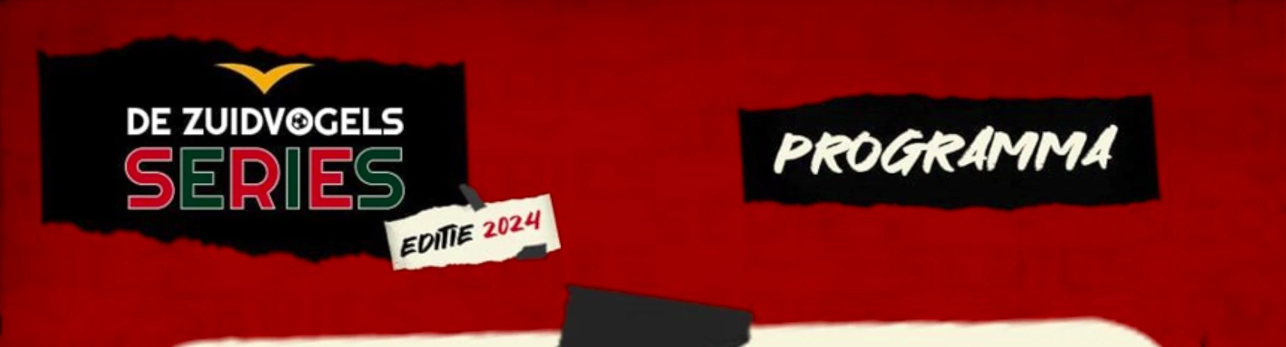 Banner - De Zuidvogels Series 2024 - HSV De Zuidvogels - Huizen