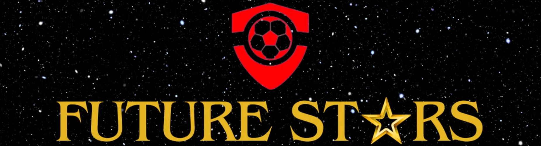 Banner - Future Stars Cup - Stols Voetbal - Waddinxveen