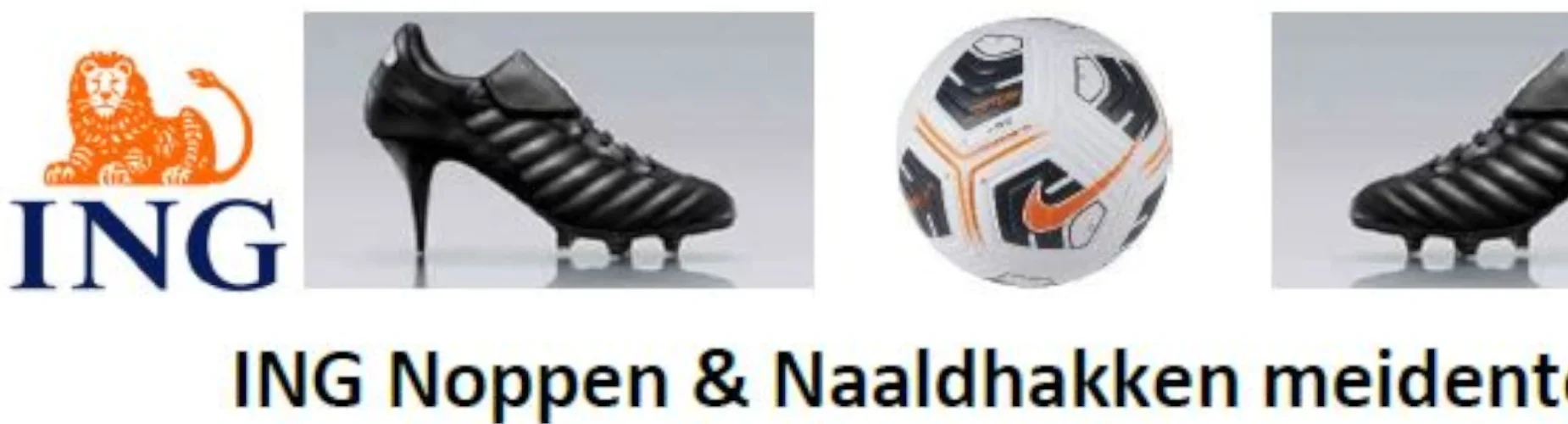 Banner - Noppen en Naaldhakken Toernooi 2025 - vv Nieuw Buinen - Nieuw-Buinen